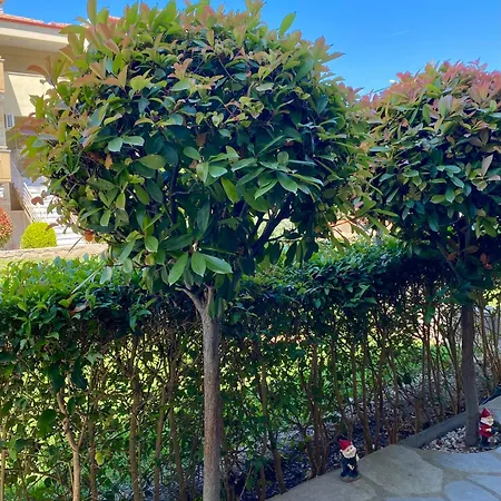 La Vie Kallithea * Kallithea (Chalkidiki)