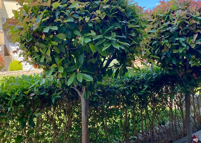 La Vie Kallithea * Kallithea (Chalkidiki)